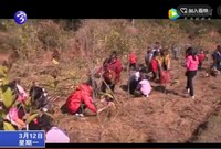 我為大地添新綠  愛德教育在身邊