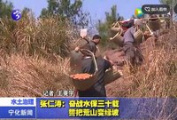 張仁濤：奮戰水保三十載  誓把荒山變綠坡