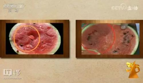 洞洞鞋乘坐電梯有危險