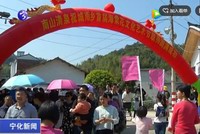 上坪海棠花開，千名游客賞花聞香