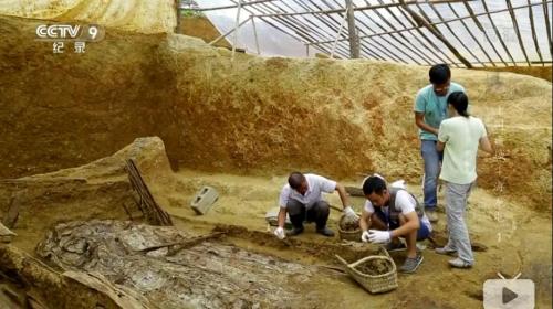 截圖：考古隊正在進行挖掘