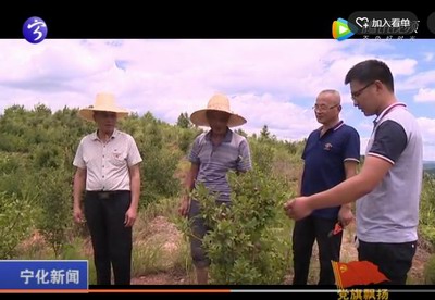 石壁溪背畬族村：支部帶產(chǎn)業(yè)  黨幫致富