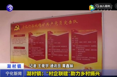 湖村鎮(zhèn)：“村企聯(lián)建”助力鄉(xiāng)村振興