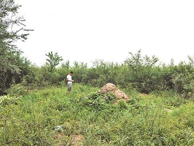 崔全政給父親崔靖祥上墳