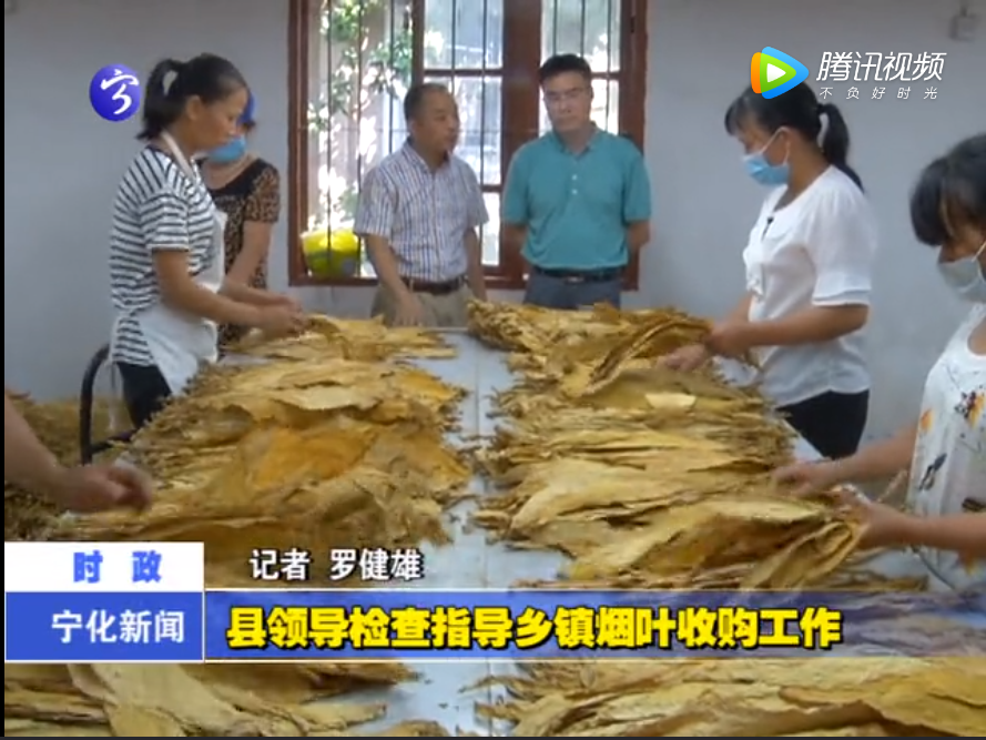 縣領導檢查指導鄉鎮煙葉收購工作