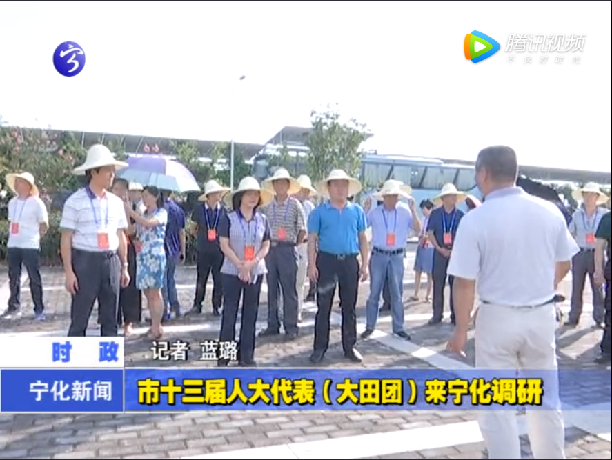 市十三屆人大代表（大田團）來寧化調研
