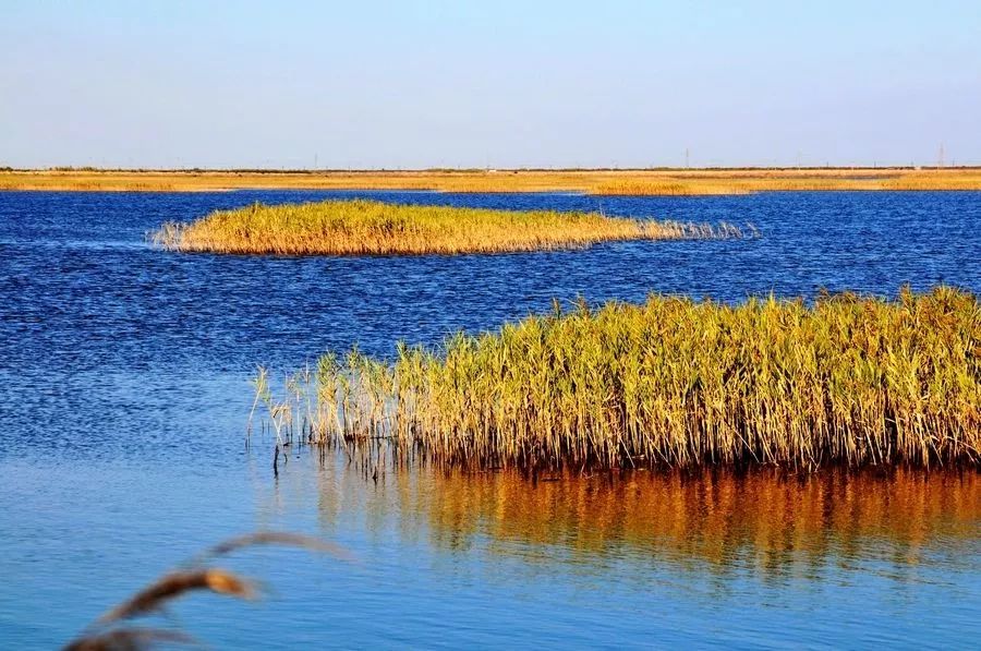 中游斷流長達20年?河道堆滿黃沙