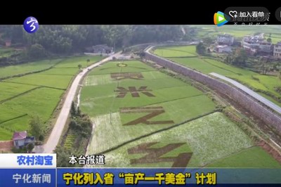 寧化列入省“畝產一千美金”計劃