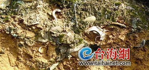 長泰發現一處龜山遺址 預計9月份進場發掘
