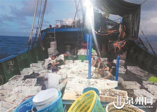 泉州蟳埔碼頭：漁船回港 海鮮熱賣