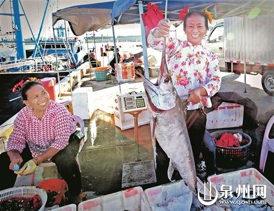 泉州蟳埔碼頭：漁船回港 海鮮熱賣