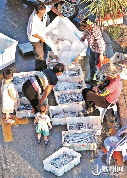 泉州蟳埔碼頭：漁船回港 海鮮熱賣