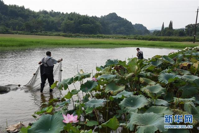 （環境）（3）浙贛閩聯手 共護綠水青山
