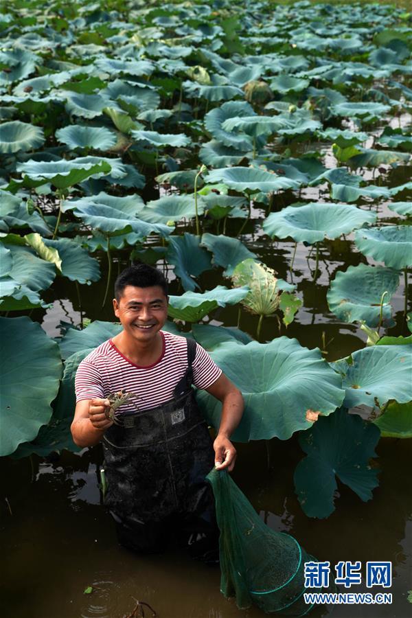 （環境）（4）浙贛閩聯手 共護綠水青山