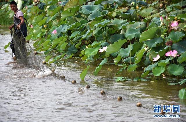（環境）（2）浙贛閩聯手 共護綠水青山