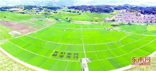 福建打造稻田藝術省份 助力鄉村振興