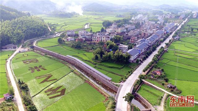 寧化河龍繪出壯美“稻田畫”