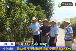 省林業(yè)廳廳長陳照瑜來寧調(diào)研林業(yè)工作