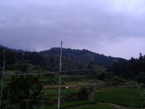 橫嶺鄉的深山野林當李錦蓮在山上逃亡時，陳春香正在從東莞回家的路上。