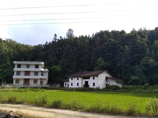 李錦蓮家屋前的田目前尚未要回來。