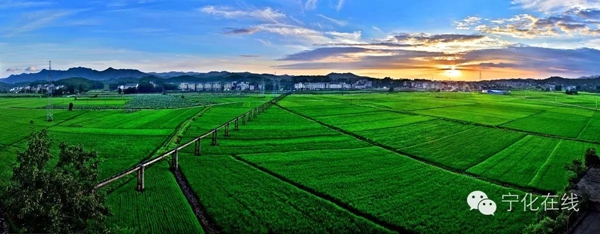 贊！寧化入選省級農村信息化示范建設名單