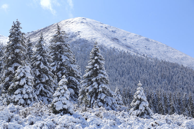 【8點見】香港各界揭批教育界亂象:教育改革勢在必行