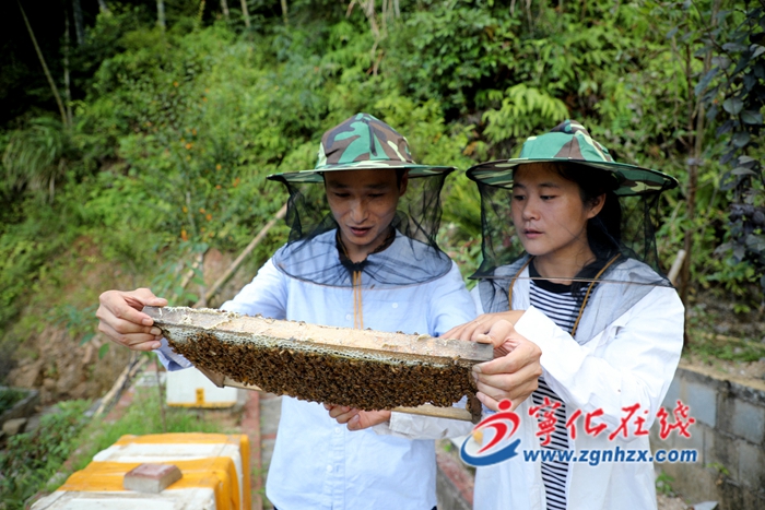 “蜂二代”的扶貧佳話