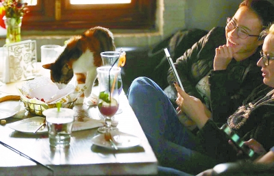 左手咖啡右手抱貓 寵物餐廳衛(wèi)生風(fēng)險(xiǎn)誰(shuí)來(lái)監(jiān)管？