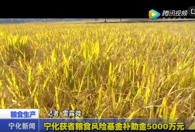 寧化獲省糧食風險基金補助金5000萬元
