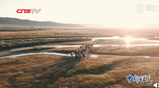 男友打撈落水女童她急救,他們有大學(xué)生最美的樣子!