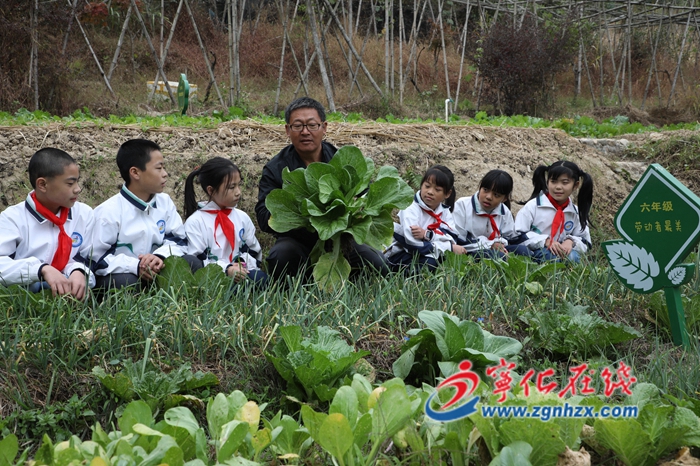 抓魚？采摘果蔬？寧化方田中心學校的文化藝術節(jié)竟這樣玩