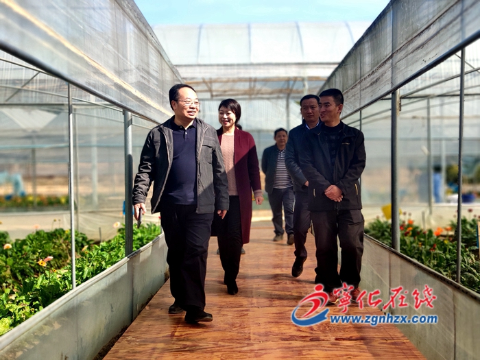 省財政廳調研組來寧化調研