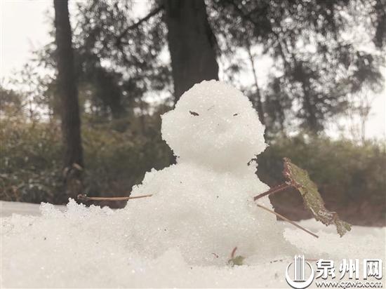 游客在九仙山上堆了一個小雪人(蔡惠山 莊麗祥 攝)