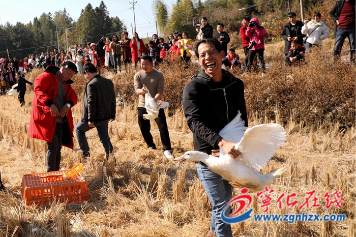 寧化水茜鎮第四屆旅游文化節好戲連臺