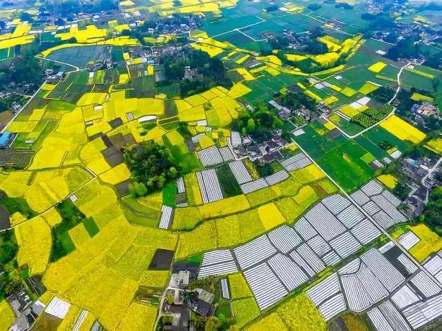 自然資源部：我國啟動已全域土地綜合整治試點工作