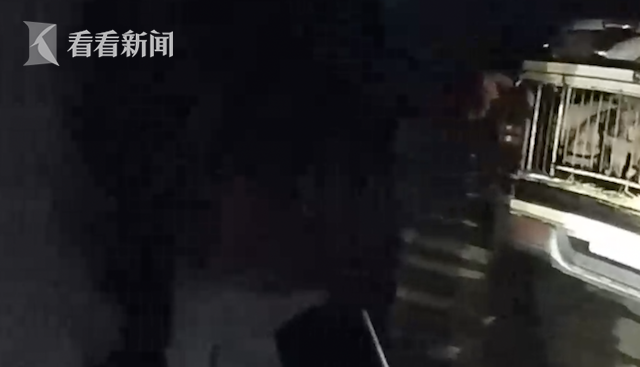 皮卡私運16頭生豬被抓 司機花式求饒：送你一頭