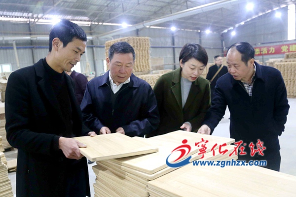 副市長(zhǎng)張?jiān)鱽?lái)寧化調(diào)研