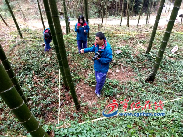 寧化開(kāi)展第四次全國(guó)中藥資源普查