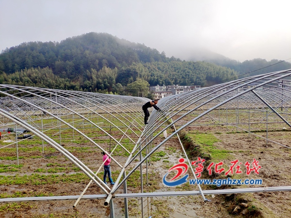 寧化安樂(lè)花卉產(chǎn)業(yè)一體化項(xiàng)目建設(shè)馬不停蹄