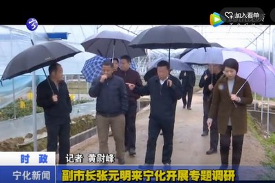 副市長張元明來寧化開展專題調(diào)研