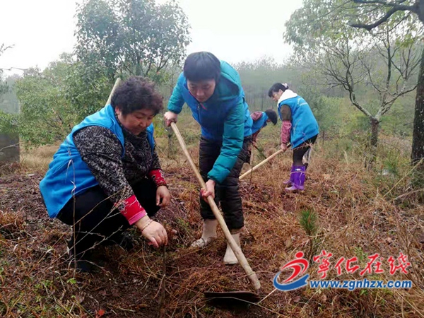 寧化：義務植樹添新綠