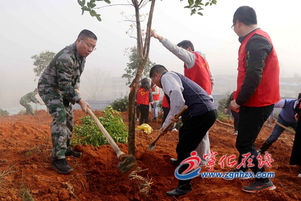 寧化：干群義務植樹300余株