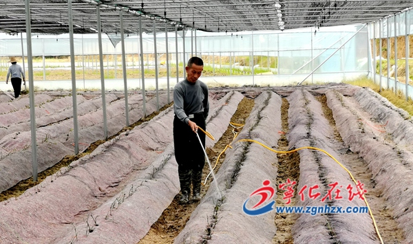 寧化水茜鎮(zhèn)海豐智慧農(nóng)業(yè)產(chǎn)業(yè)園建設(shè)有序推進(jìn)