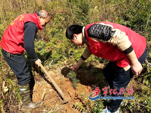 寧化：春日植樹添綠意