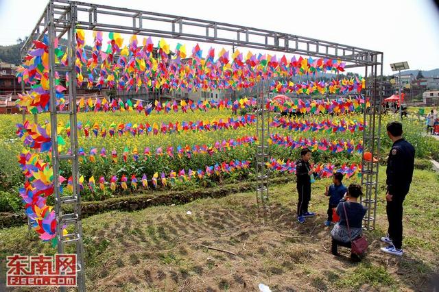 花海暢游 泉州洛江虹山油菜花文化節(jié)開幕