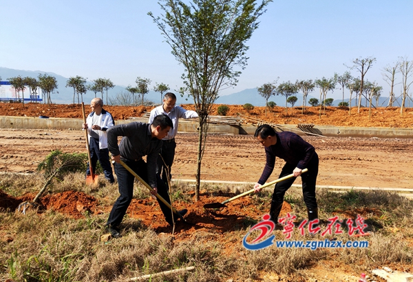 寧化：植下新綠 保護生態