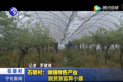 石碧村：做強(qiáng)特色產(chǎn)業(yè) 脫貧致富奔小康
