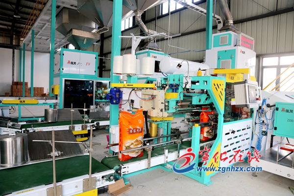 河龍貢米加工區進入調試階段