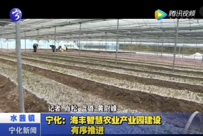 寧化：海豐智慧農(nóng)業(yè)產(chǎn)業(yè)園建設(shè)有序推進(jìn)