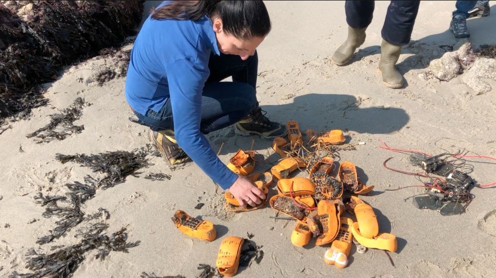 工作人員清點“加菲貓電話”（圖源：franceinfo）